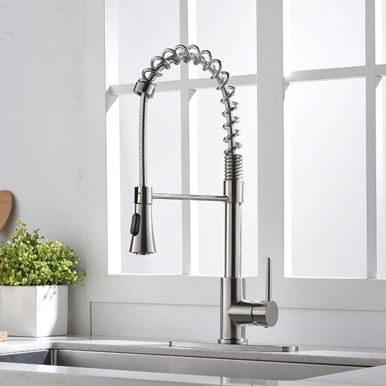 Double handle pull down kitchen faucet